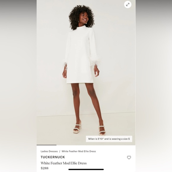 Tuckernuck White Feather Mod Ellie Dress XS - Picture 1 of 5